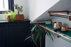 Cacti Plants by Moregeous
