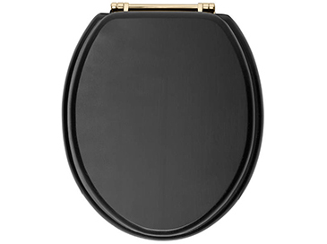 Toilet Seat Vintage Gold Hinge Graphite