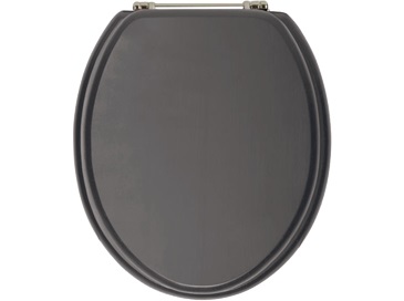 Toilet Seat Vintage Gold Hinge Graphite