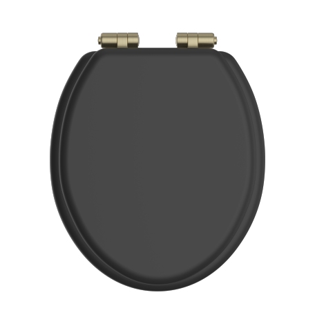 Toilet Seat Soft Close Brushed Brass Hinges - Black