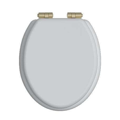 Toilet Seat Soft Close Brushed Brass Hinges - White Gloss
