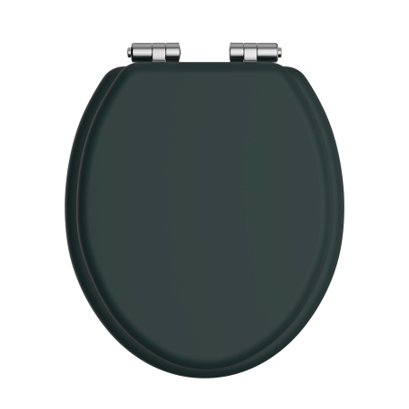 Toilet Seat Soft Close Chrome Hinges - Classic Green