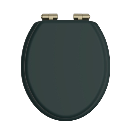 Toilet Seat Soft Close Brushed Brass Hinges - Classic Green