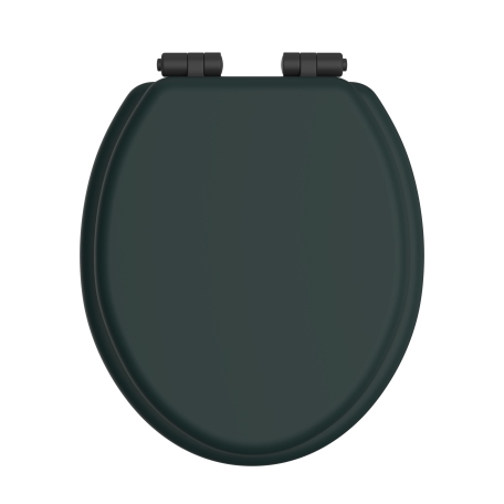Toilet Seat Soft Close Matt Black Hinges - Classic Green